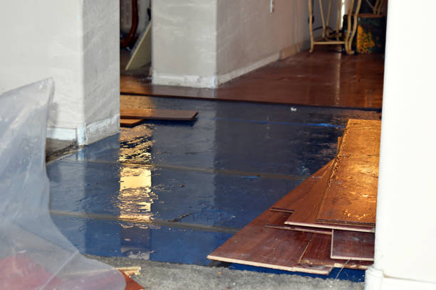 Professional Basement Flood Cleanup technician working in Canoga Park, CA